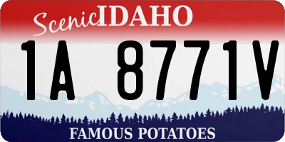 ID license plate 1A8771V