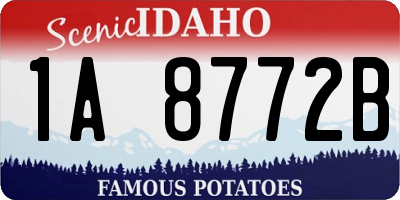ID license plate 1A8772B
