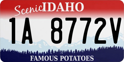 ID license plate 1A8772V