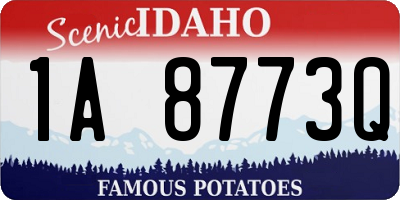 ID license plate 1A8773Q
