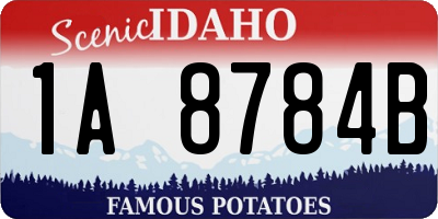 ID license plate 1A8784B