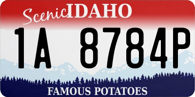 ID license plate 1A8784P