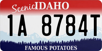 ID license plate 1A8784T