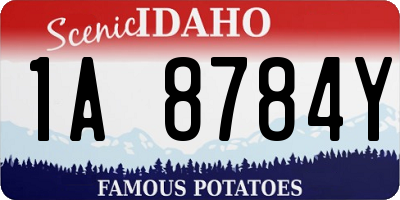 ID license plate 1A8784Y