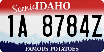 ID license plate 1A8784Z