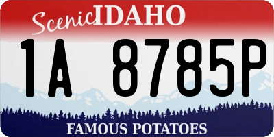 ID license plate 1A8785P