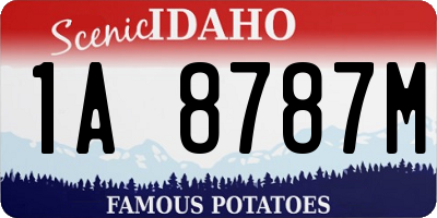 ID license plate 1A8787M
