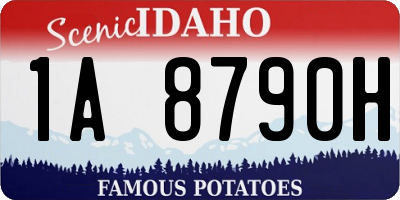 ID license plate 1A8790H