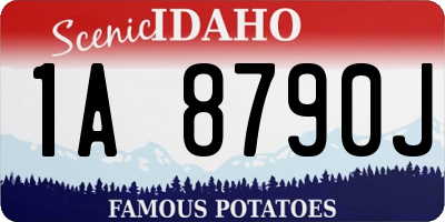 ID license plate 1A8790J