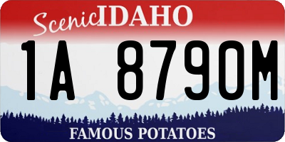 ID license plate 1A8790M