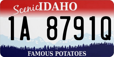 ID license plate 1A8791Q