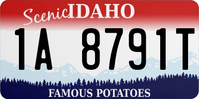 ID license plate 1A8791T