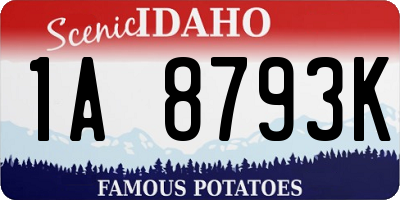 ID license plate 1A8793K