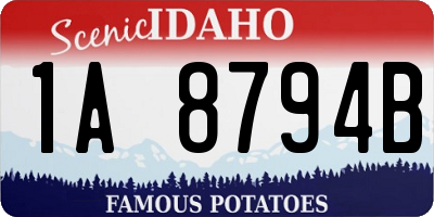 ID license plate 1A8794B