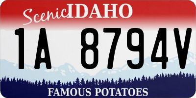 ID license plate 1A8794V