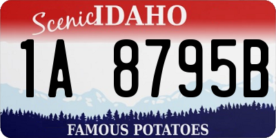 ID license plate 1A8795B
