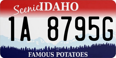 ID license plate 1A8795G