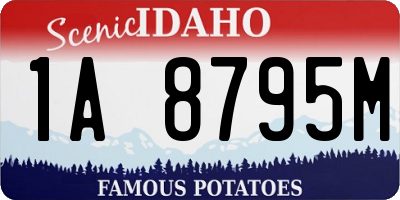 ID license plate 1A8795M
