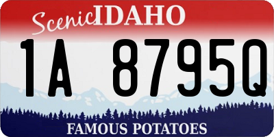 ID license plate 1A8795Q
