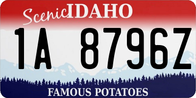 ID license plate 1A8796Z