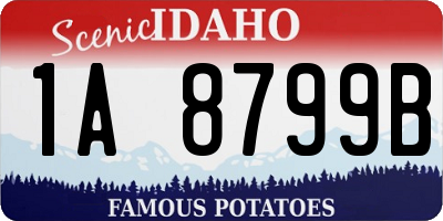 ID license plate 1A8799B