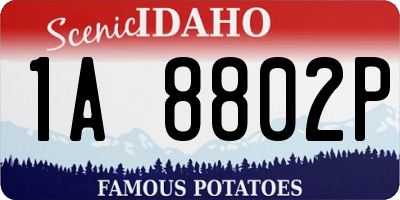 ID license plate 1A8802P