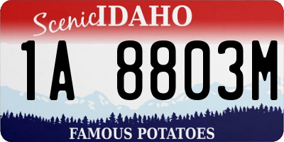 ID license plate 1A8803M
