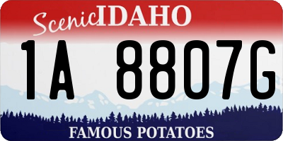 ID license plate 1A8807G