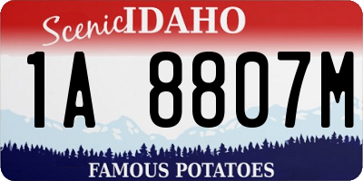 ID license plate 1A8807M