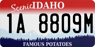 ID license plate 1A8809M