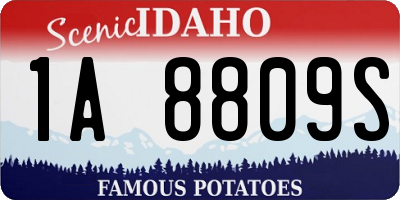 ID license plate 1A8809S