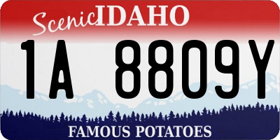 ID license plate 1A8809Y