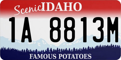 ID license plate 1A8813M