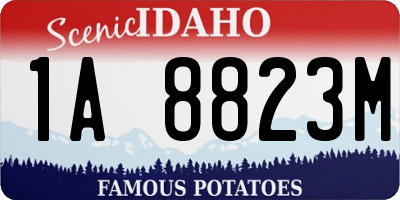 ID license plate 1A8823M