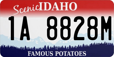 ID license plate 1A8828M