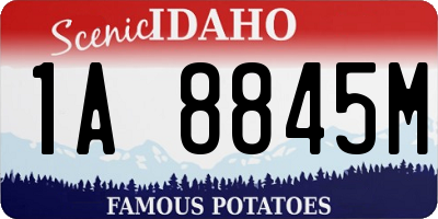 ID license plate 1A8845M