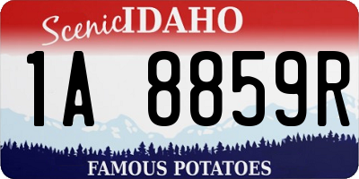 ID license plate 1A8859R