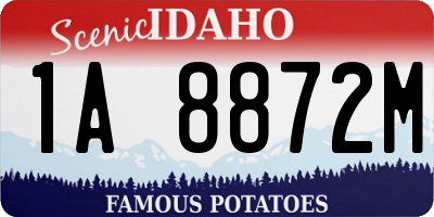 ID license plate 1A8872M