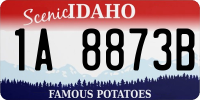ID license plate 1A8873B