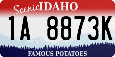ID license plate 1A8873K