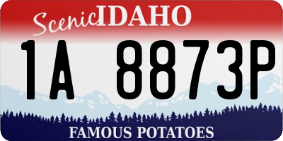 ID license plate 1A8873P