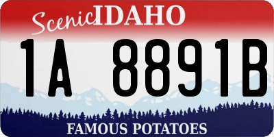 ID license plate 1A8891B