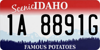 ID license plate 1A8891G