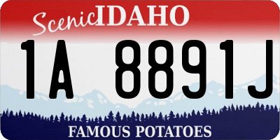 ID license plate 1A8891J
