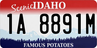 ID license plate 1A8891M
