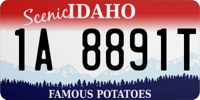 ID license plate 1A8891T