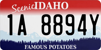 ID license plate 1A8894Y