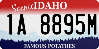 ID license plate 1A8895M