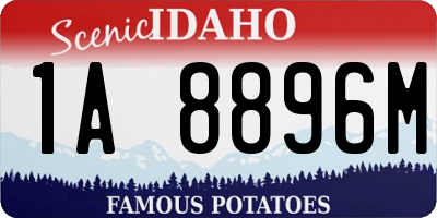 ID license plate 1A8896M