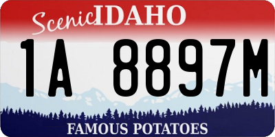ID license plate 1A8897M